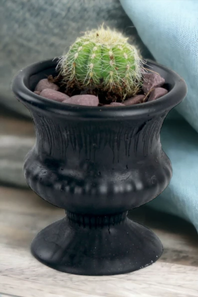 Kaktüs Saksı Dünyası El Yapımı Saksı Siyah Dekoratif Saksı Küçük Boy Model 33 ürün görseli 1