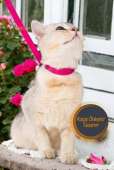 Viselia Kedi Tasması Boyun Göğüs Ayarlanabilir Sevk Kayışlı Gezdirme Seti - 5