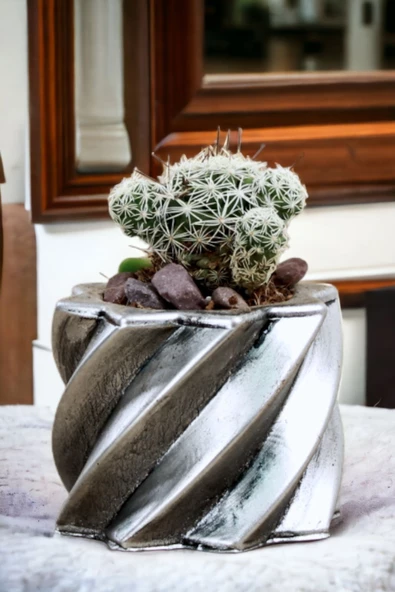 Viselia Kaktüs Saksısı Sukulent El Yapımı Saksı Balkon Çiçek Saksısı Ev Saksısı Saksı Model 9 Gümüş ürün görseli 1