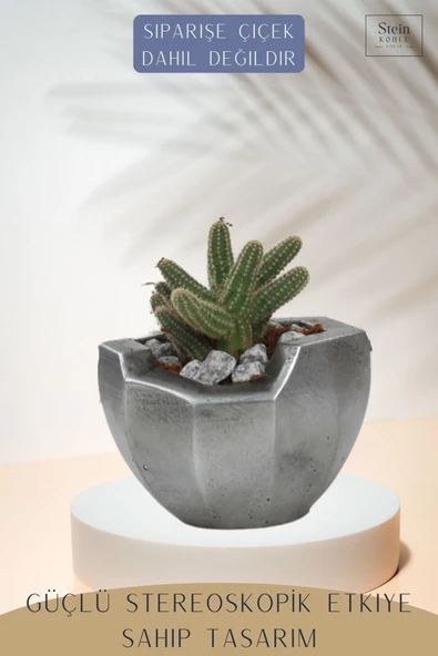 Stein Kohle Çiçek Saksısı Büyük Boy 1 Adet Gümüş Renk Eskitme Uygulamalı Önü Açık Model - Resim 4