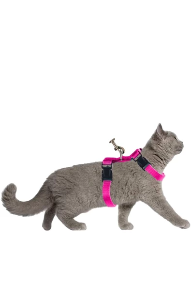 Pandogo Kedi Köpek Tasması Ayarlanabilir Bedenli Kaçış Önleyici Tasarım Sevk Kayışlı Model Pembe Dubai