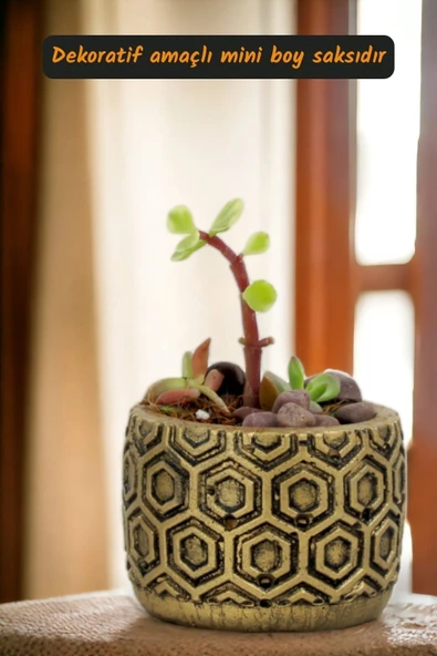 Viselia Kaktüs Saksısı Sukulent El Yapımı Saksı Balkon Çiçek Saksısı Ev Saksısı Saksı Model 2 Altın - Resim 2