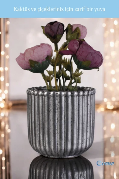 Evene Mini Çiçek Saksı Küçük Sukulent Gümüş Eskitme Kaktüs Saksısı Vintage Düz Çizgili Model - Resim 4