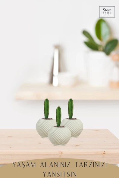 Stein Kohle Dekoratif Saksı Minik Kaktüs Saksısı Beyaz Renk 1 Adet Ince Çizgili Spiral Model - Resim 3