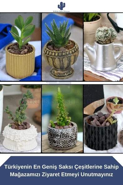 Kaktüs Saksı Dünyası El Yapımı Saksı Gümüş Eskitme Dekoratif Saksı Küçük Boy Model 30 - Resim 3