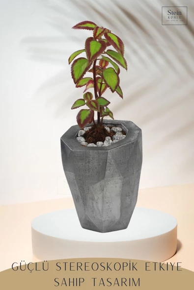 Stein Kohle Çiçek Saksısı Büyük Boy 1 Adet Gümüş Renk Eskitme Uygulamalı Uzun Poly Model - Resim 5