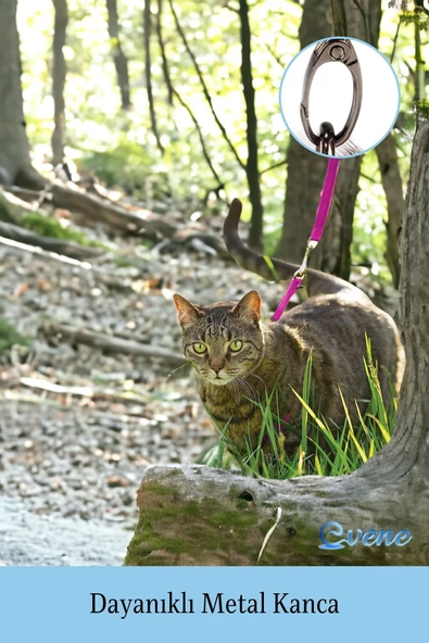 Evene Kedi Tasması Kedi Göğüs Bel Ayarlanabilir Dayanıklı Sağlam Tasma 1 cm İnce Kolon Pembe - 3