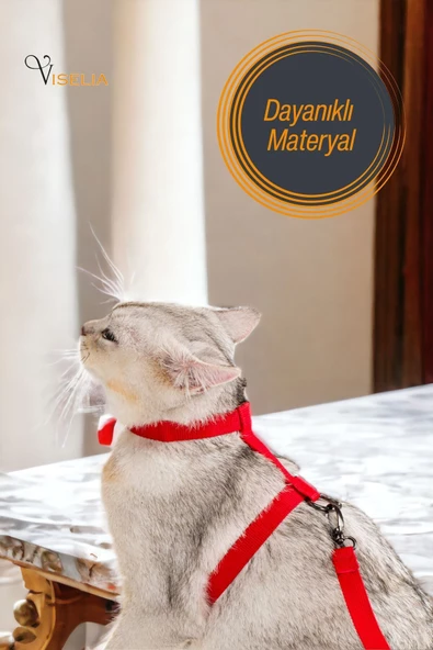 Viselia Kedi Tasması Boyun Göğüs Ayarlanabilir Sevk Kayışlı Gezdirme Seti - Resim 3