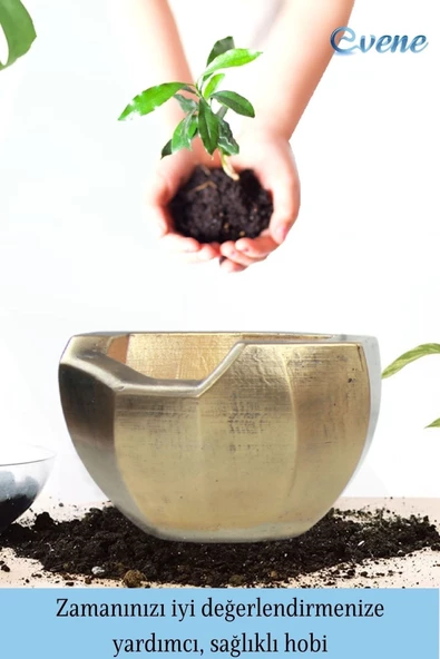 Evene Ahşap Ayaklı Beton Saksı Büyük Boy Set 3 Adet Altın Eskitme Varak Boyalı Eskitmeli Önü Açık Model - Resim 4