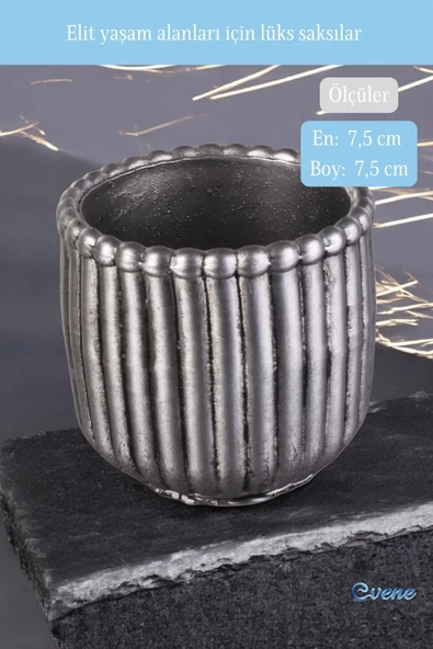 Evene Mini Çiçek Saksı Küçük Sukulent Gümüş Eskitme Kaktüs Saksısı Vintage Düz Çizgili Model - Resim 2