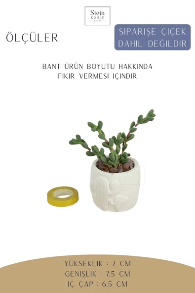 Stein Kohle Dekoratif Saksı Minik Kaktüs Saksısı Beyaz Renk 1 Adet Kaktüs Desenli Model - Resim 2