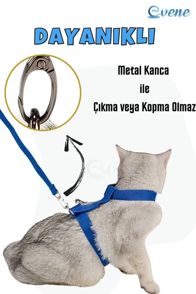 Evene Kedi Tasması Kedi Gögüs Bel Ayarlanabilir Tasma Mavi - 2