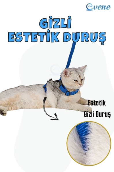 Evene Kedi Tasması Kedi Göğüs Bel Ayarlanabilir Dayanıklı Sağlam Tasma Mavi - Resim 5