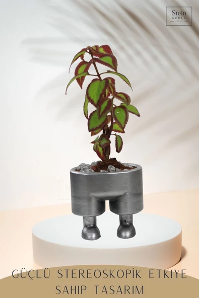 Stein Kohle Çiçek Saksısı Büyük Boy 3 Adet Gümüş Renk Eskitme Uygulamalı Pantolon Model - 5