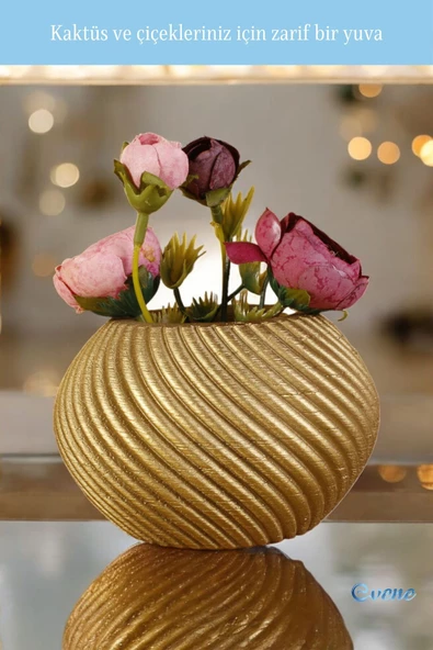 Evene Mini Çiçek Saksı Küçük Sukulent Altın Kaktüs Saksısı Ince Çizgili Spiral Model - Resim 4