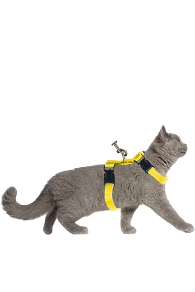 Pandogo Kedi Gezdirme Tasması Sevk Kayışlı Sarı Dubai ürün görseli 1