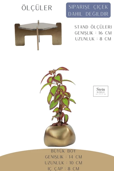 Stein Kohle Ayaklı Saksı Ahşap Büyük Boy 1 Adet Altın Renk Eskitme Uygulamalı Spiral Oval Model - Resim 2