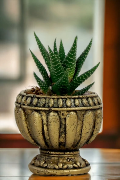 Viselia Kaktüs Saksısı Sukulent El Yapımı Saksı Balkon Çiçek Saksısı Ev Saksısı Saksı Model 17 Altın ürün görseli 1
