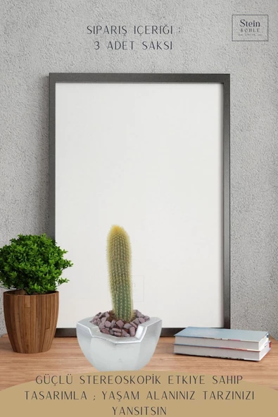 Stein Kohle Çiçek Saksısı Büyük Boy 3 Adet Gümüş Renk Uygulamalı Önü Açık Model - Resim 4