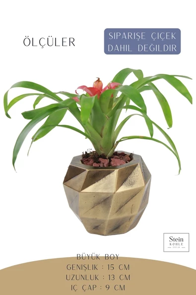 Stein Kohle Çiçek Saksısı Büyük Boy 1 Adet Altın Renk Eskitme Uygulamalı Dönen Poly Model - Resim 2