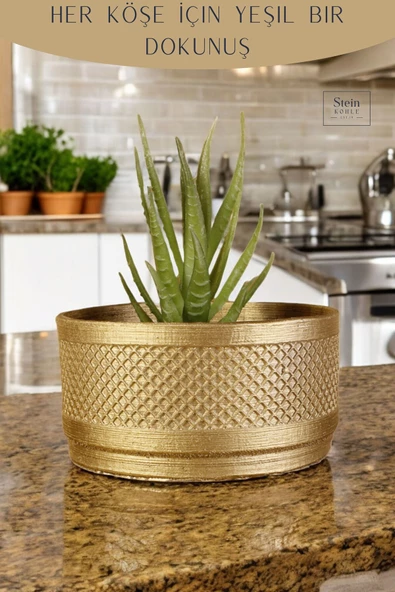 Stein Kohle Dekoratif Saksı Minik Kaktüs Saksısı Altın Renk Model 22 - Resim 4