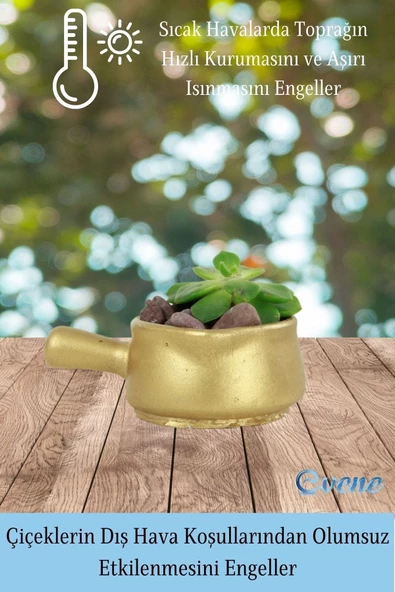 Evene Mini Çiçek Saksı Küçük Sukulent Altın Kaktüs Saksısı 3'lü Set Mini Tava Model - Resim 4