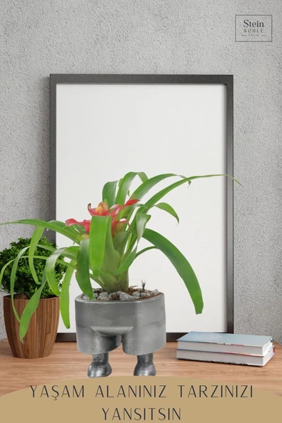 Stein Kohle Çiçek Saksısı Büyük Boy 3 Adet Gümüş Renk Eskitme Uygulamalı Pantolon Model - 4