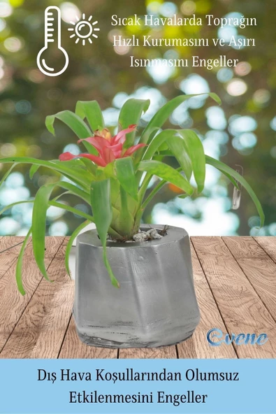 Evene Saksı Çiçek Kaktüs Saksısı Lüx 15 Cm Gümüş Eskitme Varak Boyalı Kalın Çizgi Desen 3'lü Set Çiçeklik - Resim 6