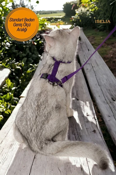 Viselia Kedi Tasması Boyun Göğüs Ayarlanabilir Sevk Kayışlı Gezdirme Seti - Resim 6