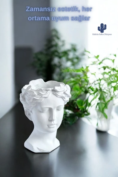Kaktüs Saksı Dünyası Helen 3 Lü Dekoratif Mini Saksı 10 Cm Helen Biblo - 6
