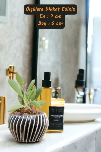 Viselia Kaktüs Saksısı Sukulent El Yapımı Saksı Balkon Çiçek Saksısı Ev Saksısı Saksı Model 13 Gümüş - Resim 3