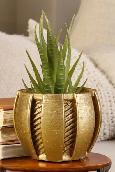 Stein Kohle Dekoratif Saksı Minik Kaktüs Saksısı Altın Renk Model 41 - 1