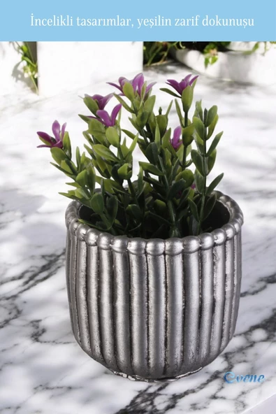 Evene Mini Çiçek Saksı Küçük Sukulent Gümüş Eskitme Kaktüs Saksısı Vintage Düz Çizgili Model - Resim 5