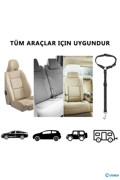Evene Siyah Kedi Tasması Tutucu Kedi Köpek Araç Emniyet Kemeri Tasması - 6