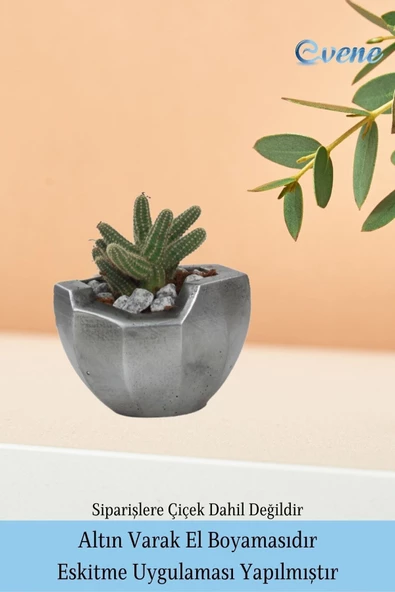 Evene Saksı Çiçek Kaktüs Saksısı Lüx 15 Cm Gümüş Eskitme Varak Boyalı Önü Açık Desenli 3'lü Set Çiçeklik - 5