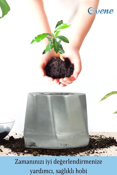 Evene Saksı Çiçek Kaktüs Saksısı Lüx 15 Cm Gümüş Eskitme Varak Boyalı Kalın Çizgi Desen 3'lü Set Çiçeklik - Resim 4