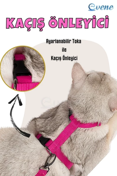 Evene Kedi Tasması Kedi Gögüs Bel Ayarlanabilir Tasma Pembe - Resim 3
