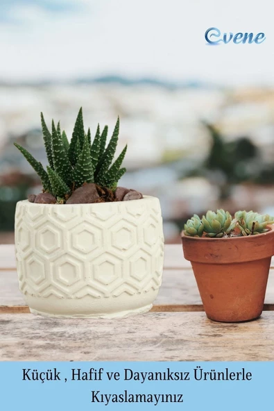 Evene Mini Çiçek Saksı Küçük Sukulent Beyaz Kaktüs Saksısı Altıgen Desenli Model - Resim 3