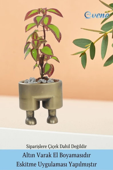 Evene Saksı Çiçek Kaktüs Saksısı Lüx 13 Cm Altın Eskitme Varak Boyalı Pantolon Desenli 3'lü Set Çiçeklik - 5