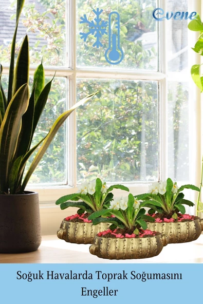 Evene Saksı Büyük Saksı Çiçek Saksısı Büyük Boy Saksı Salon Saksısı Model 3 Siyah Altın Saksı - Resim 5