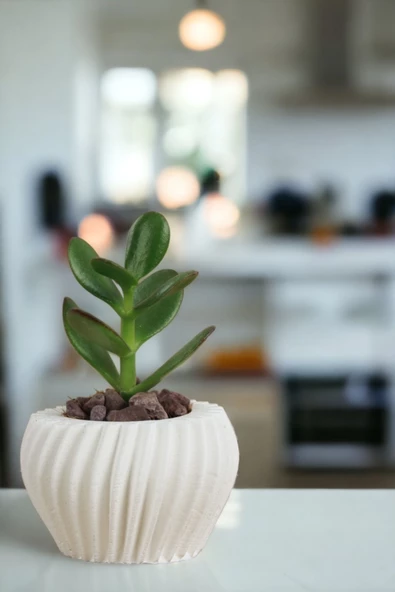 Viselia Kaktüs Saksısı Sukulent El Yapımı Saksı Balkon Çiçek Saksısı Ev Saksısı Saksı Model 13 Beyaz - Resim 4