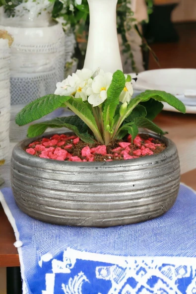 Kaktüs Saksı Dünyası El Yapımı Saksı Gümüş Eskitme Premium Kalite Dekoratif Saksı Model 4 ürün görseli 1