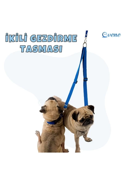 Pandogo Kedi Köpek Çiftli Gezdirme Tasması Mavi Çoklu Tasma Premium Kalite Model Amsterdam - 2