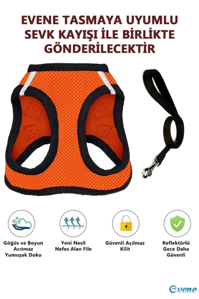 Evene Kedi Göğüs Tasması Kedi Köpek Boyun Göğüs Tasması S Beden Turuncu - Resim 5