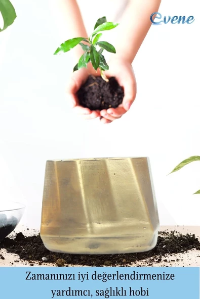 Evene Ahşap Ayaklı Beton Saksı Büyük Boy Set 3 Adet Altın Varak Boyalı Eskitmeli Kalın Çizgili Model - Resim 4