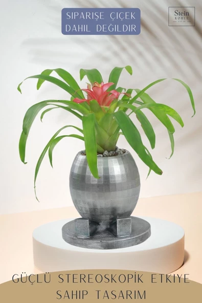 Stein Kohle Çiçek Saksısı Büyük Boy 1 Adet Gümüş Renk Eskitme Uygulamalı Ayaklı Yuvarlak Model - Resim 4