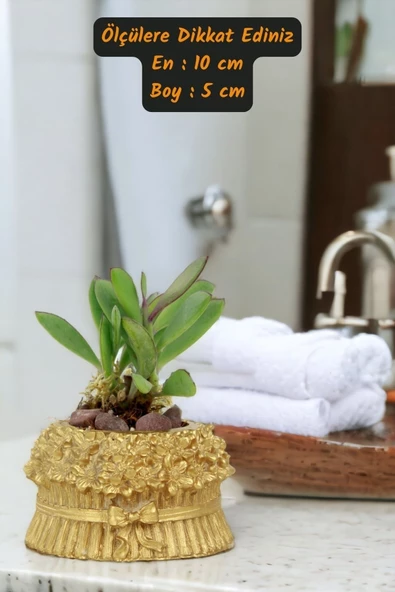 Viselia Kaktüs Saksısı Sukulent El Yapımı Saksı Balkon Çiçek Saksısı Ev Saksısı Saksı Model 3 Altın - Resim 3