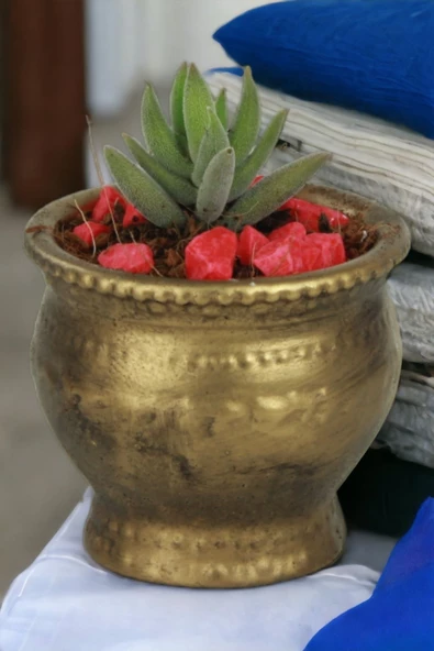 Kaktüs Saksı Dünyası El Yapımı Saksı Altın Eskitme Dekoratif Saksı Küçük Boy Model 43 ürün görseli 1