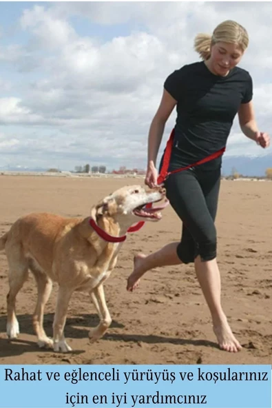 Evene Kırmızı Kedi Tasması Sevk Kayışlı Eller Serbest Bel Bağlamalı Yürüyüş Spor Trekking Gezdirme Tasma - Resim 2