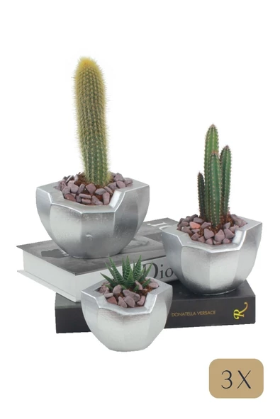 Stein Kohle Çiçek Saksısı Büyük Boy 3 Adet Gümüş Renk Uygulamalı Önü Açık Model ürün görseli 1